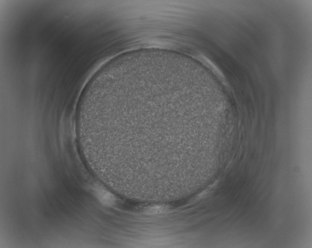 X0000081350891200702082251