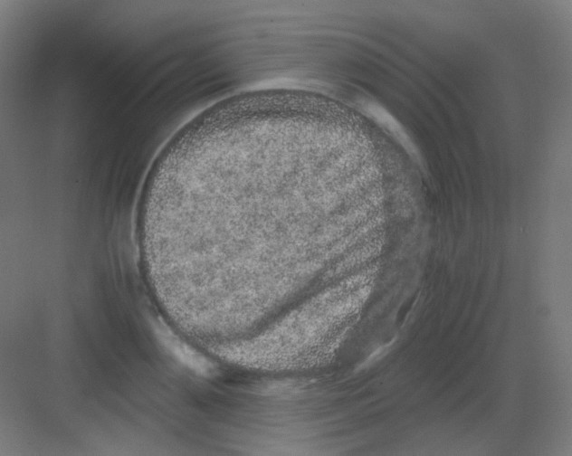 X0000081350892200702082251