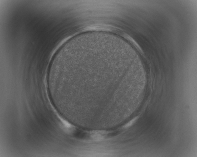 X0000081350893200702082251