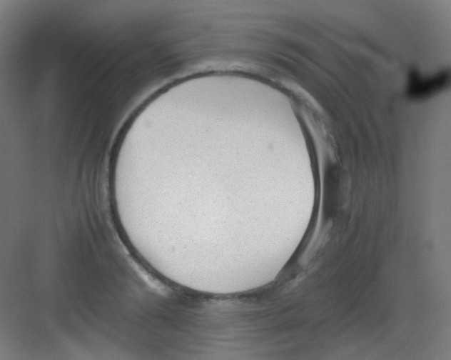 X0000081350894200702082251