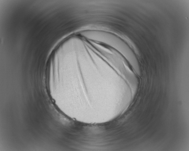 X0000081350896200702082251