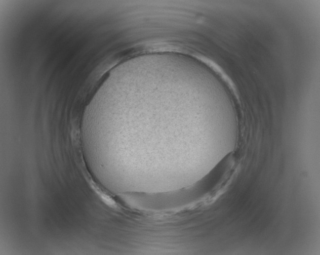 X0000081350897200702082251