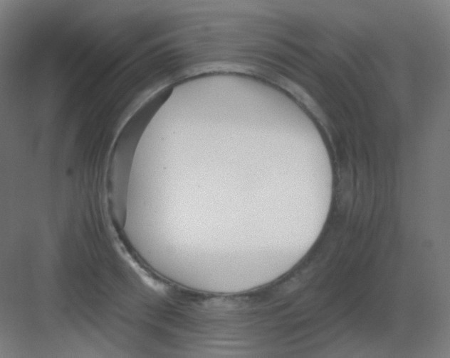 X0000081350898200702082251