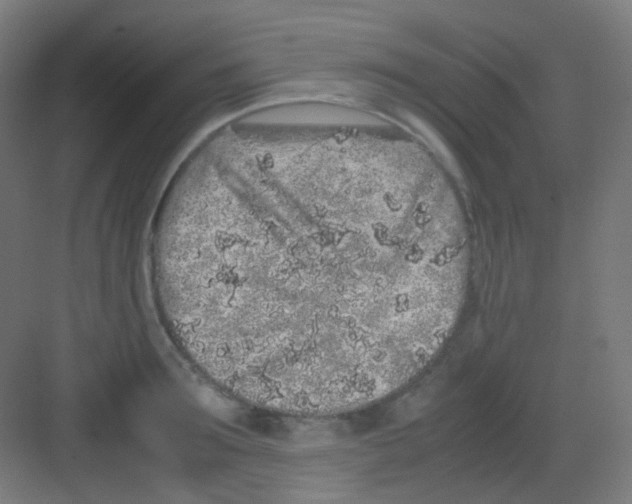 X0000081350899200702082251