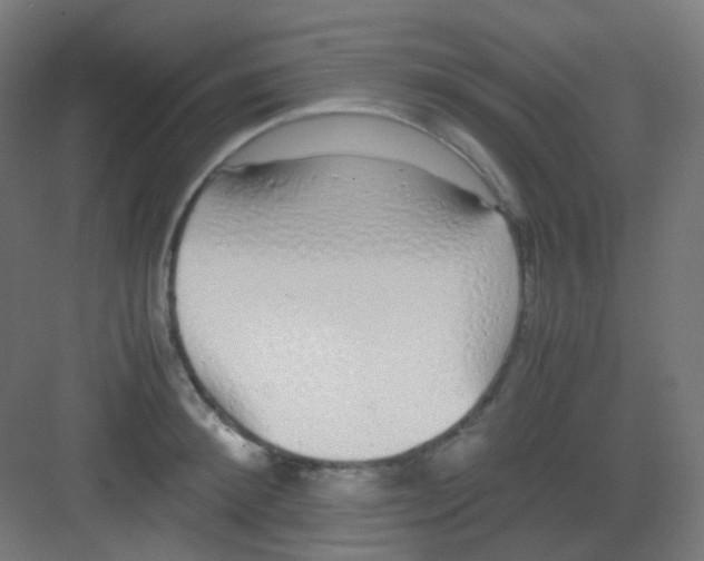 X0000081350900200702082251