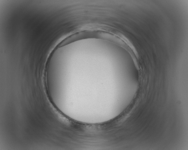 X0000081350901200702082251