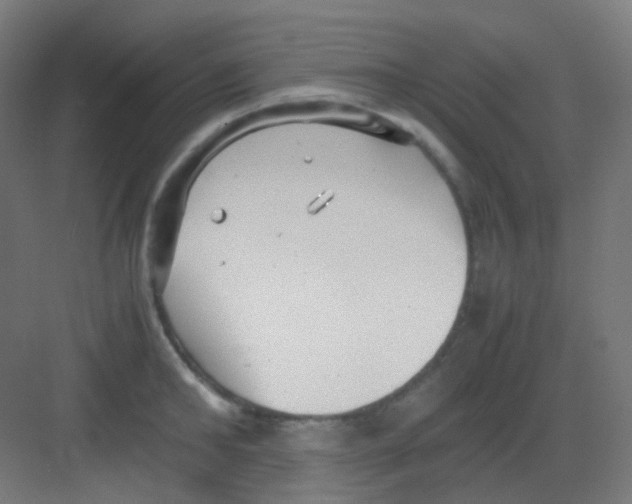 X0000081350902200702082251