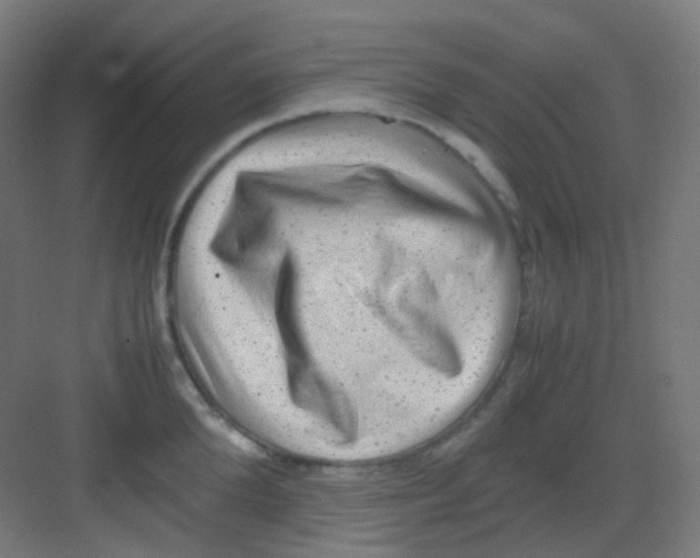 X0000081350904200702082251