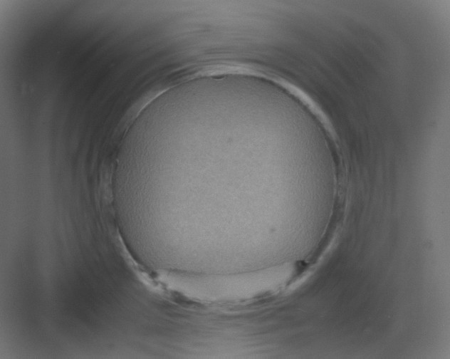 X0000081350905200702082251