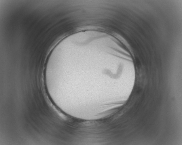 X0000081350906200702082251