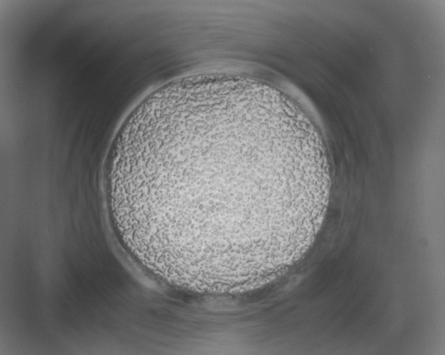 X0000081350907200702082251