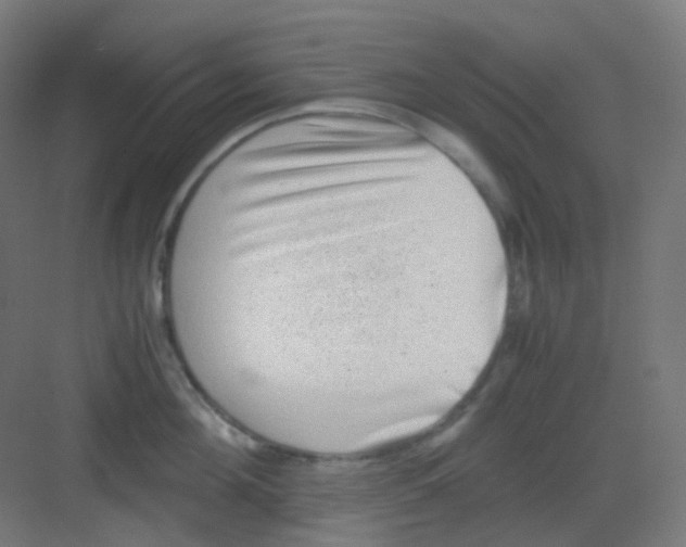 X0000081350908200702082251