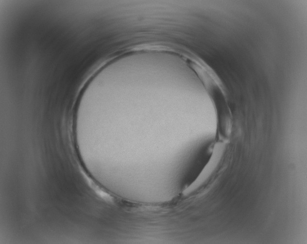 X0000081350909200702082251