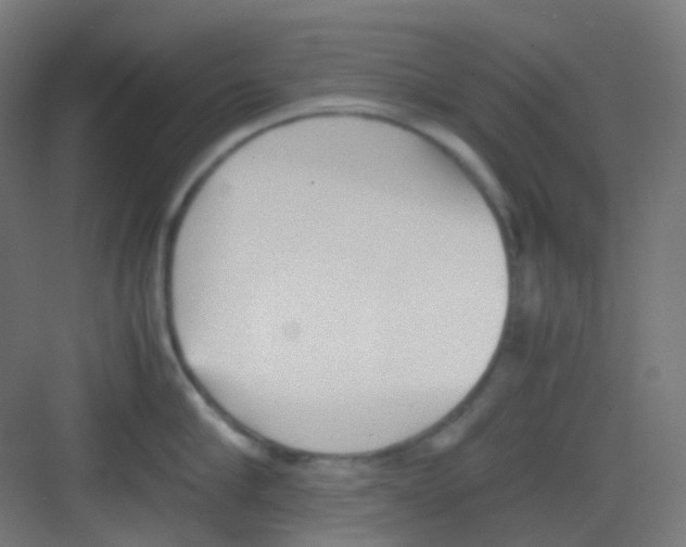 X0000081350910200702082251