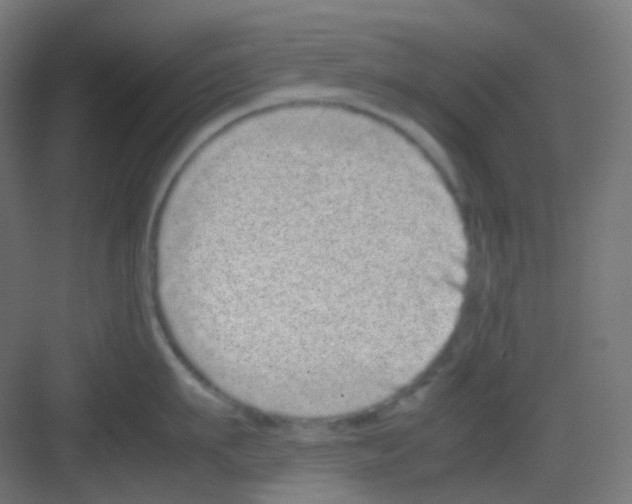 X0000081350911200702082251