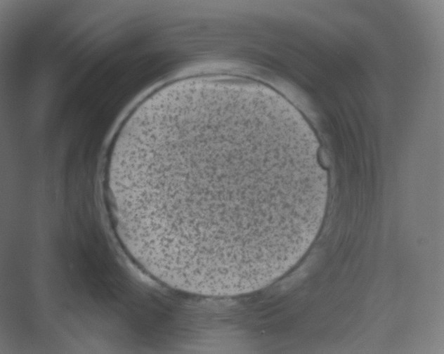 X0000081350912200702082251