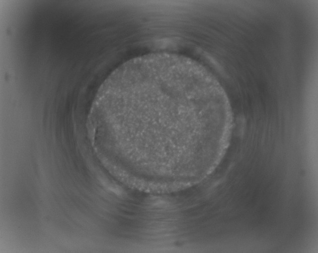 X0000081350913200702082250