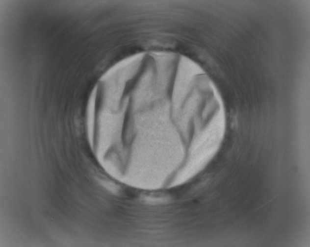 X0000081350915200702082250