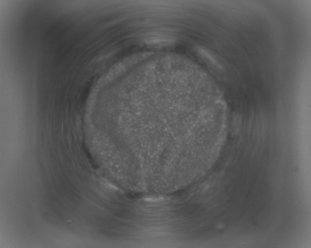 X0000081350917200702082250