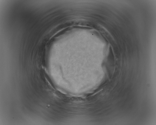 X0000081350919200702082250