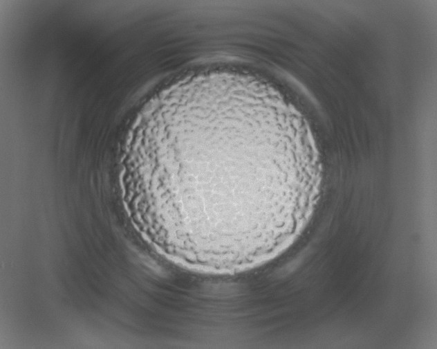 X0000081350921200702082250