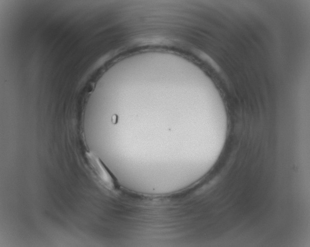 X0000081350922200702082250