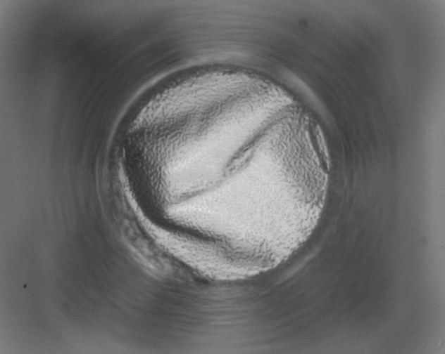 X0000081350924200702082250