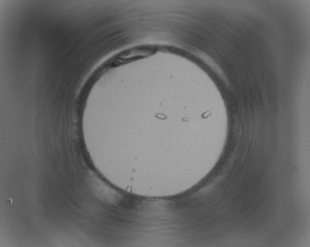 X0000081350926200702082250