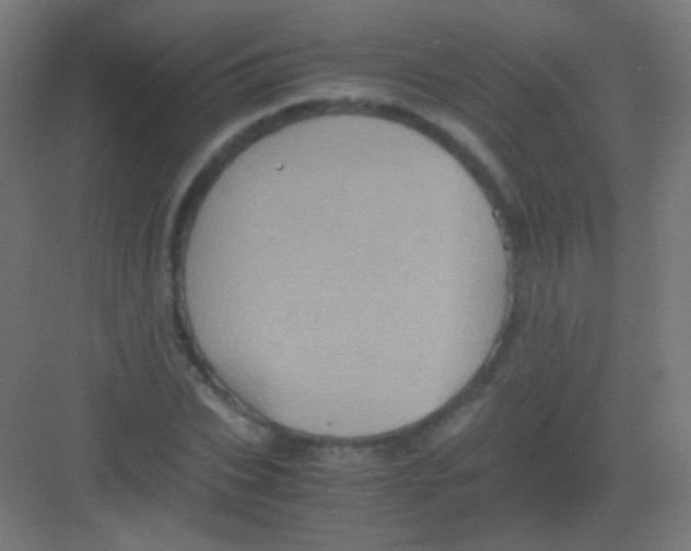 X0000081350927200702082250