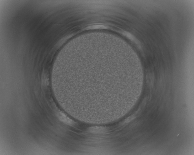 X0000081350929200702082251