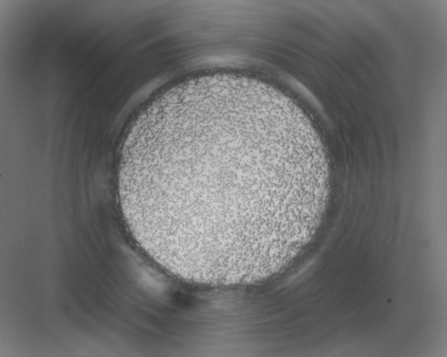 X0000081350930200702082251