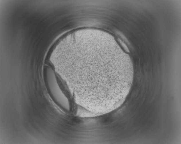 X0000081350932200702082251