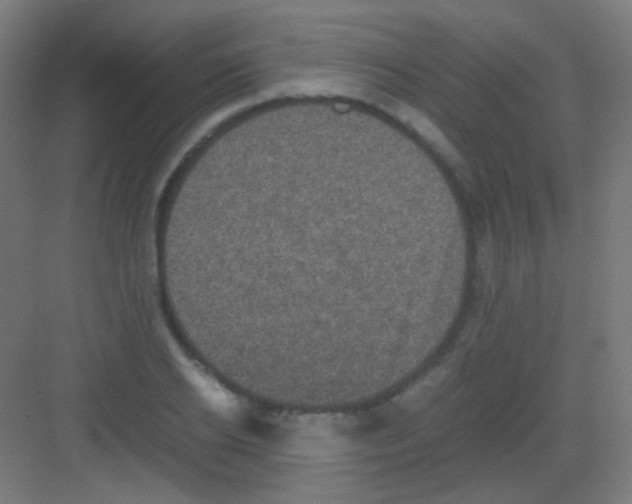 X0000081350934200702082251