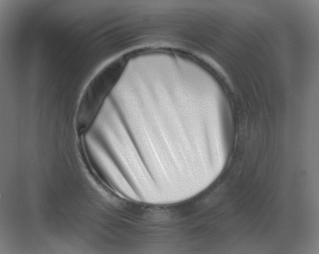 X0000081350935200702082251