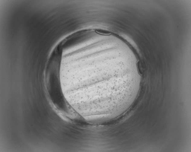 X0000081350936200702082251