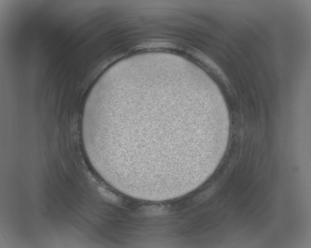 X0000081350937200702082251