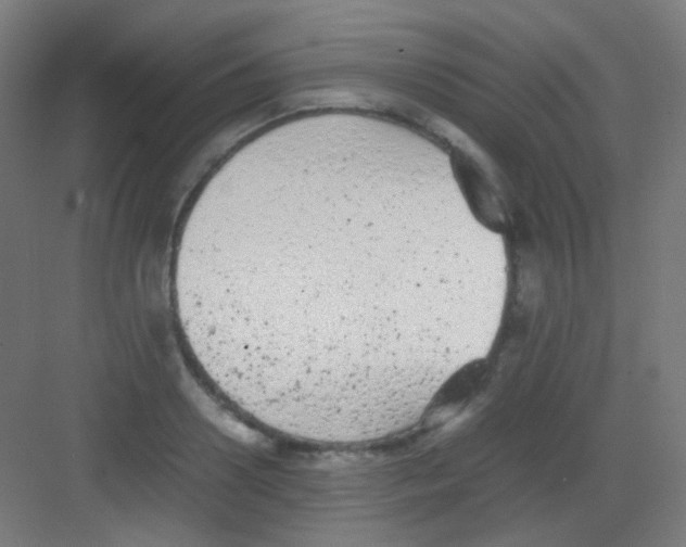 X0000081350938200702082251