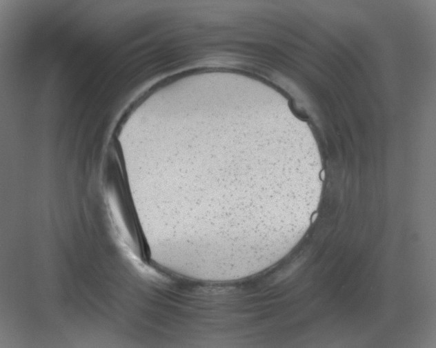 X0000081350939200702082251