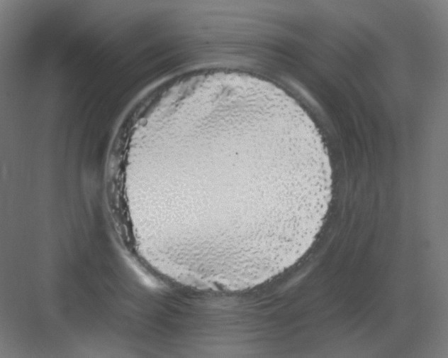 X0000081350940200702082251