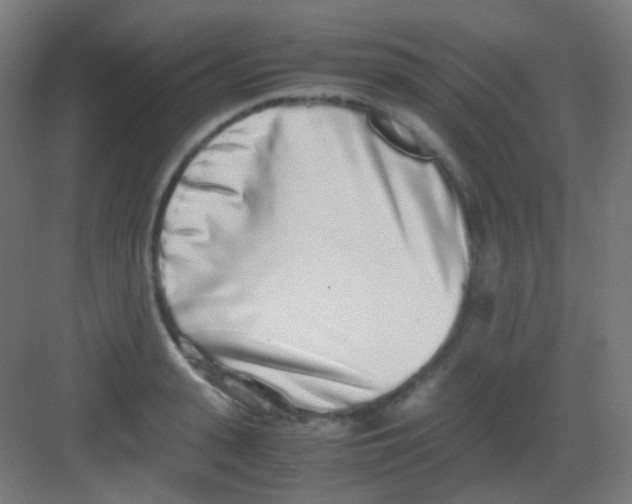 X0000081350943200702082251