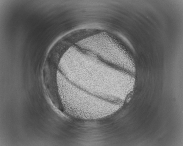 X0000081350944200702082251