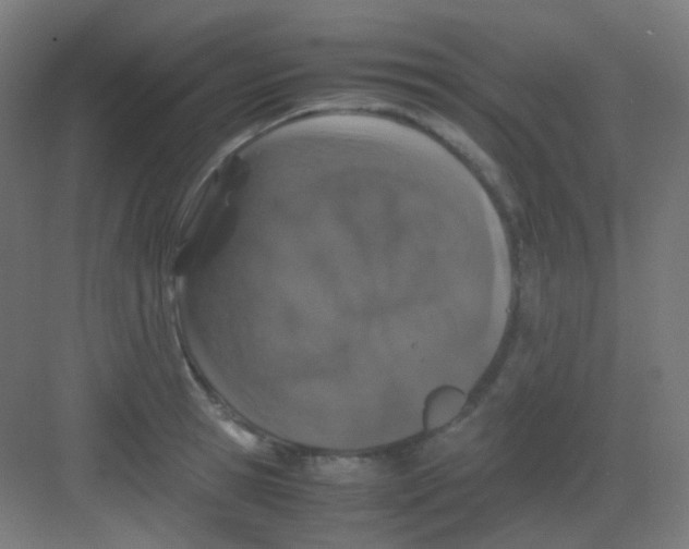 X0000081350945200702082251