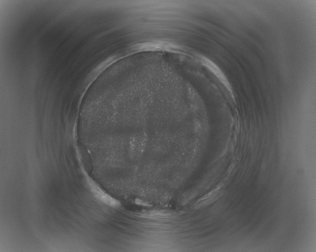 X0000081350946200702082251