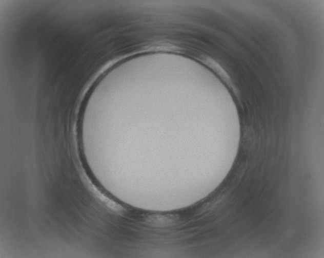 X0000081350947200702082251