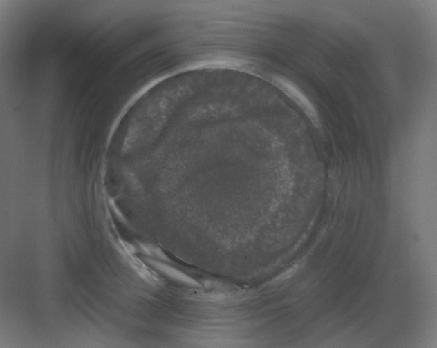 X0000081350948200702082251