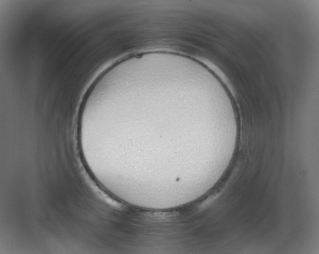 X0000081350949200702082251