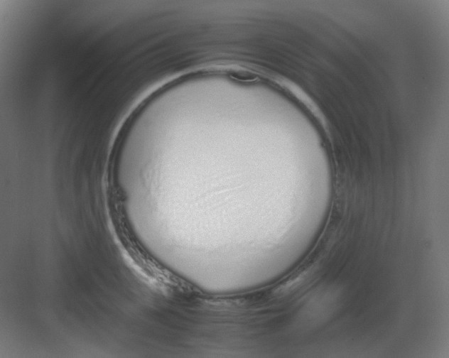 X0000081350951200702082251