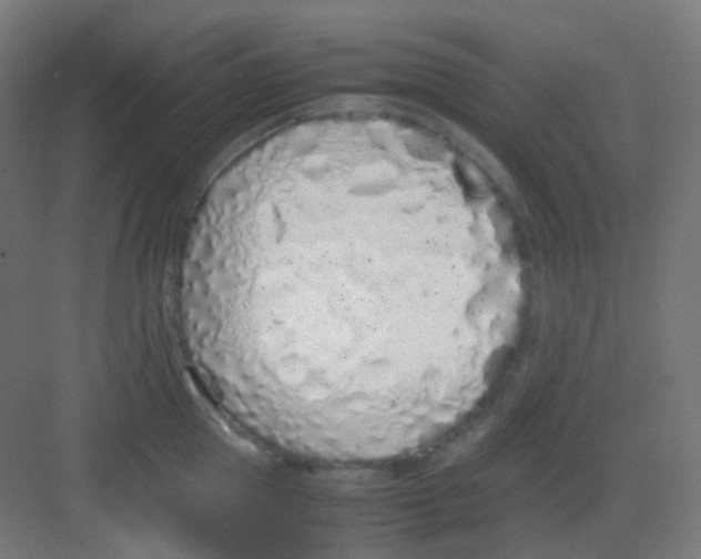 X0000081350953200702082251