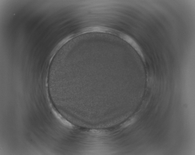 X0000081350954200702082251