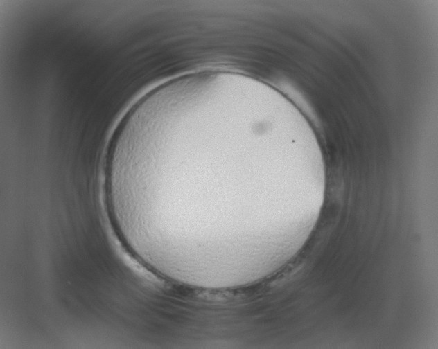 X0000081350955200702082251